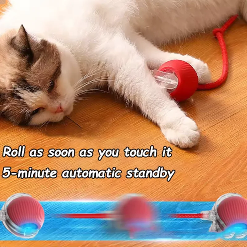 Hot cat toys: automatic teasing cat balls, self-exciting cat sticks, tick-resistant, wear-resistant, and bite-resistant pet toys