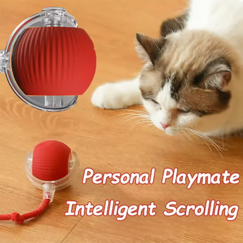Hot cat toys: automatic teasing cat balls, self-exciting cat sticks, tick-resistant, wear-resistant, and bite-resistant pet toys
